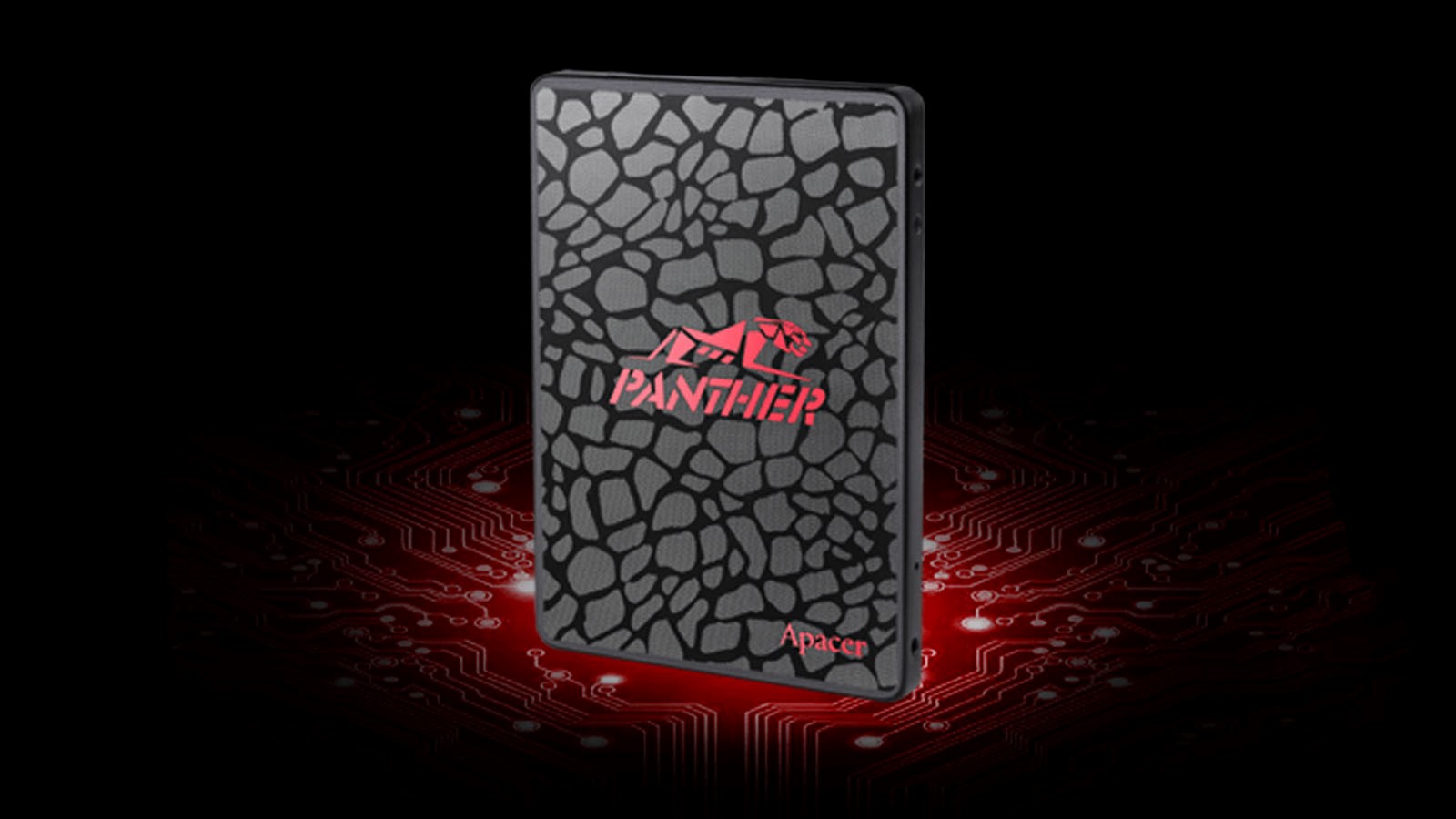 حافظه ssd اینترنال 256 گیگابایت apacer مدل panther as350